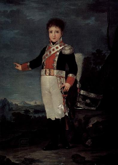 Francisco de Goya Portrat des Don Sebastian Gabriel de Borbon y Braganza China oil painting art